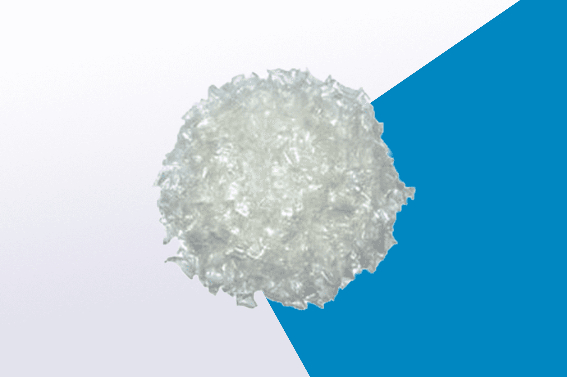 Transforming Plastic Waste: The Power of PET Flakes
